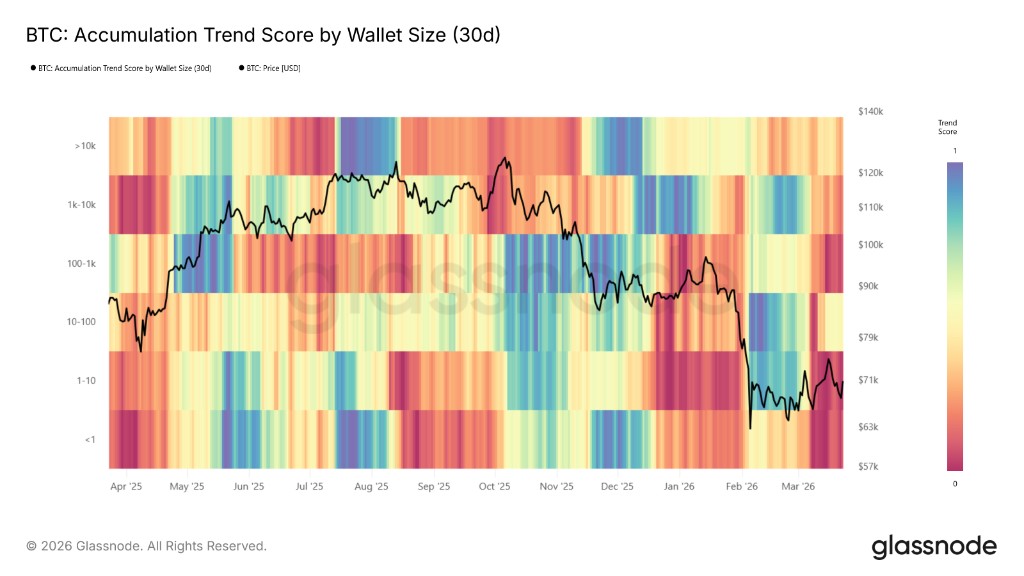 BTC: Accumulation Trend Score by Wallet Size (30d)